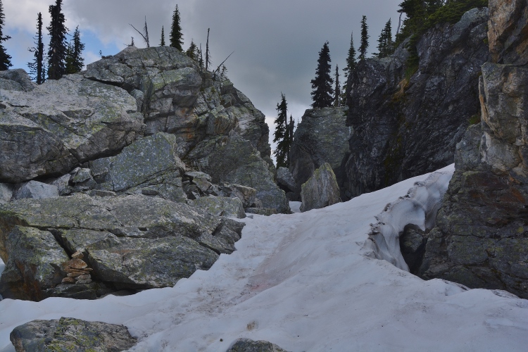 on Mt. Revelstoke
